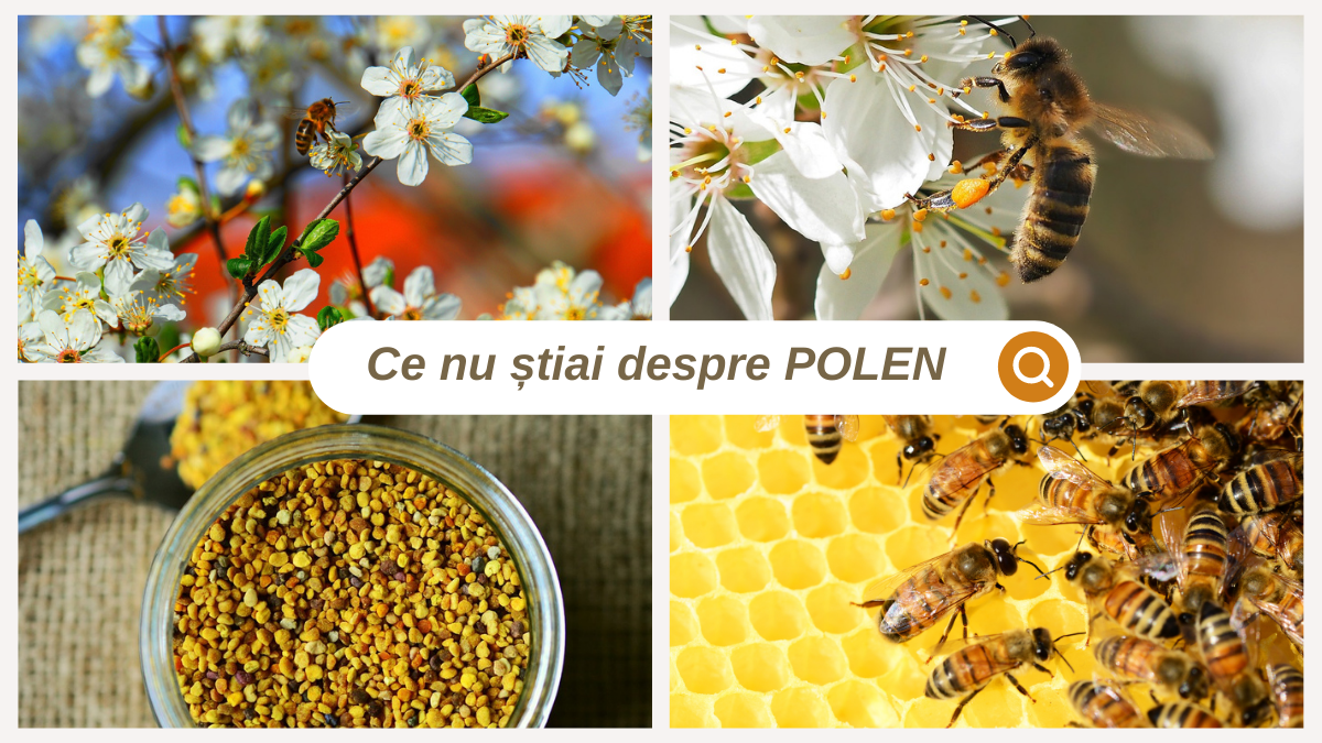 Ce nu știai despre polen