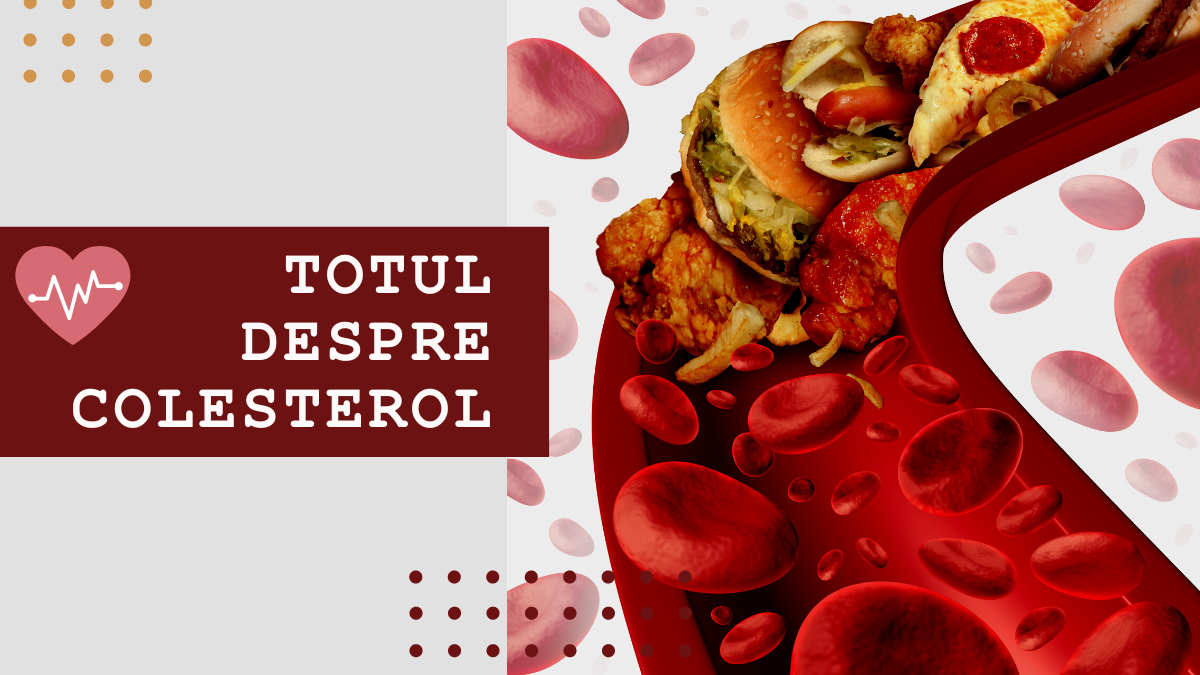Colesterol – tot ce trebuie să știi despre el