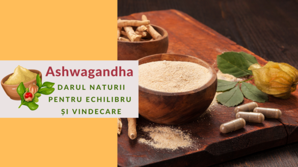 Ashwagandha – darul naturii pentru echilibru și vindecare